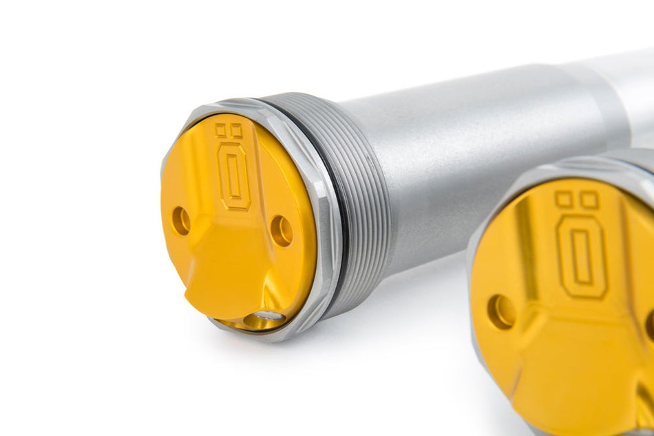 Öhlins FCX1304 TTX 22 Cartridge Kit