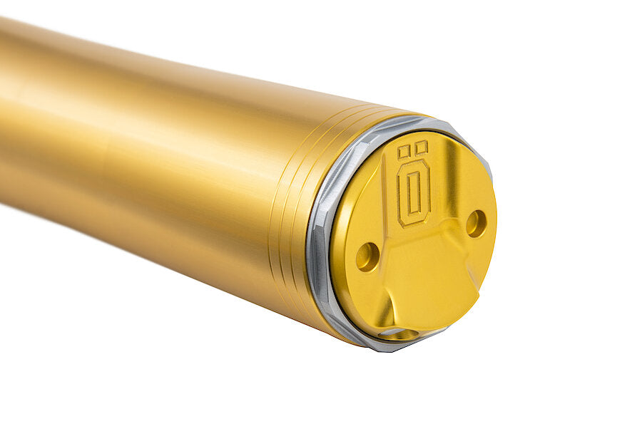 Öhlins Motorrad RXF48S