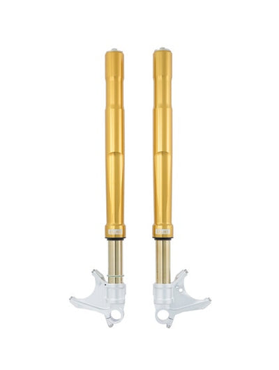Öhlins Gabel Kawasaki ZX-10R / RR FGRT 225