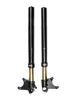 Öhlins Gabel Ducati Diavel / Universal FGRT 301
