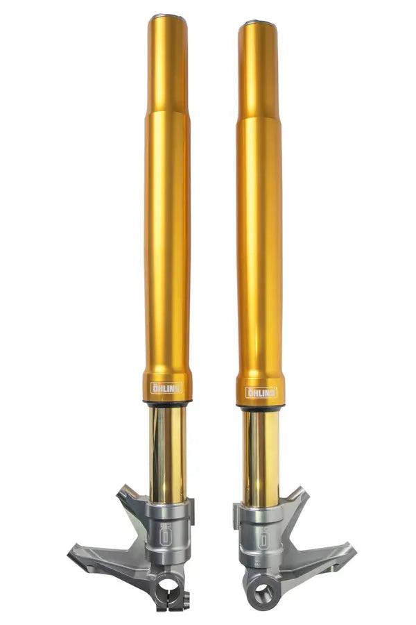 OHLINS FORK HD CVO ROAD/STREET GLIDE GOLD NIX 30 FGRT 308