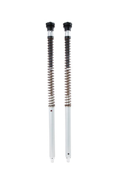 Öhlins Cartridge-Kit Ducati Scrambler Desert Sled FKA 109