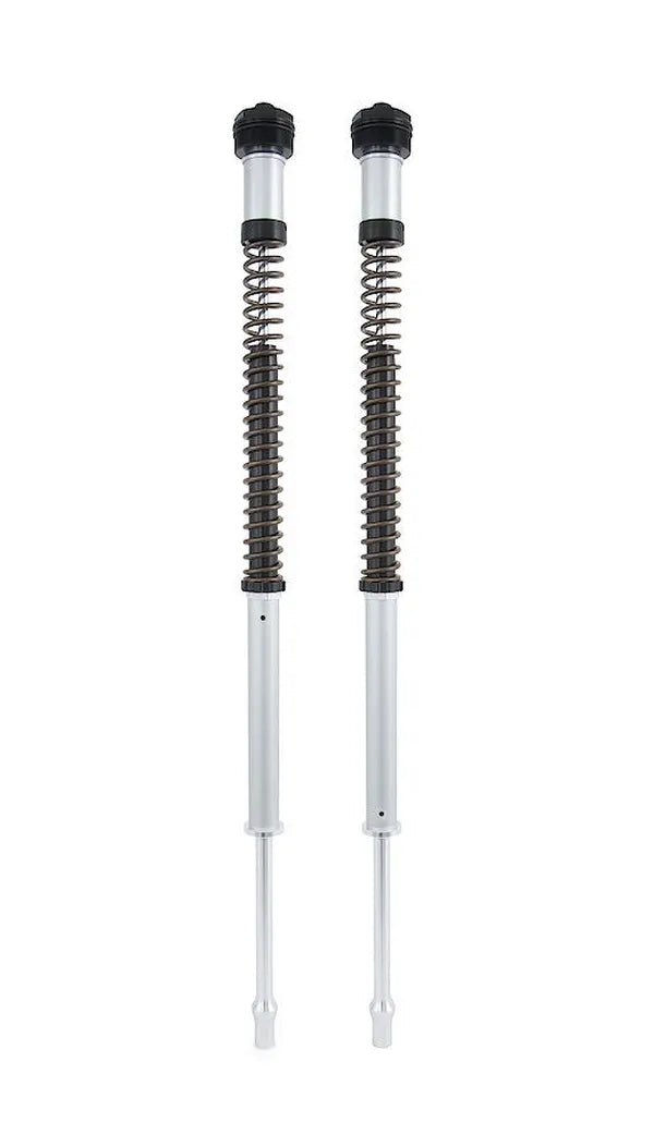OHLINS CARTRIDGE HARLEY-DAVIDSON 2018-2022 SOFTAIL NIX22 FKS 221