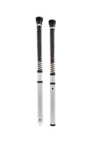 Öhlins Cartridge-Kit BMW R12 nineT (Marzocchi) FKS 530