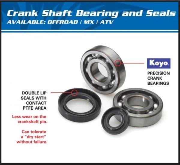 ALL BALLS Crankshaft Bearing & Oil Seal Kit